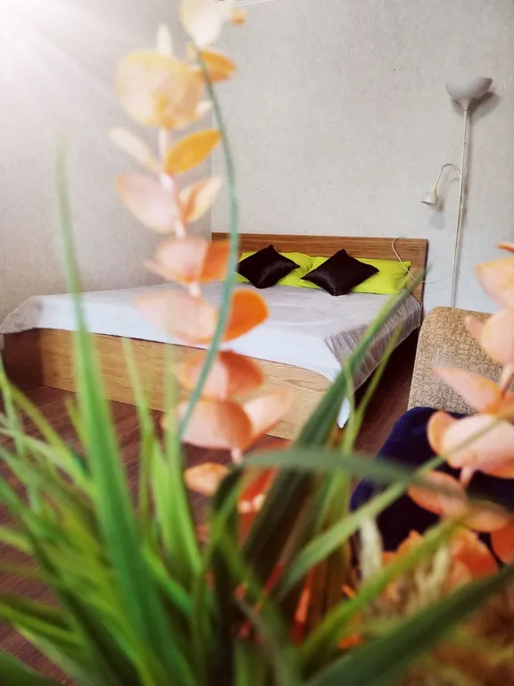 Стартовая гавань