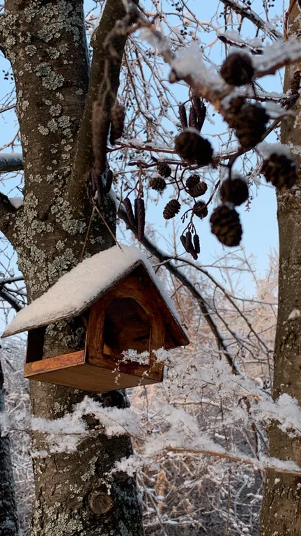 Дом без соседей