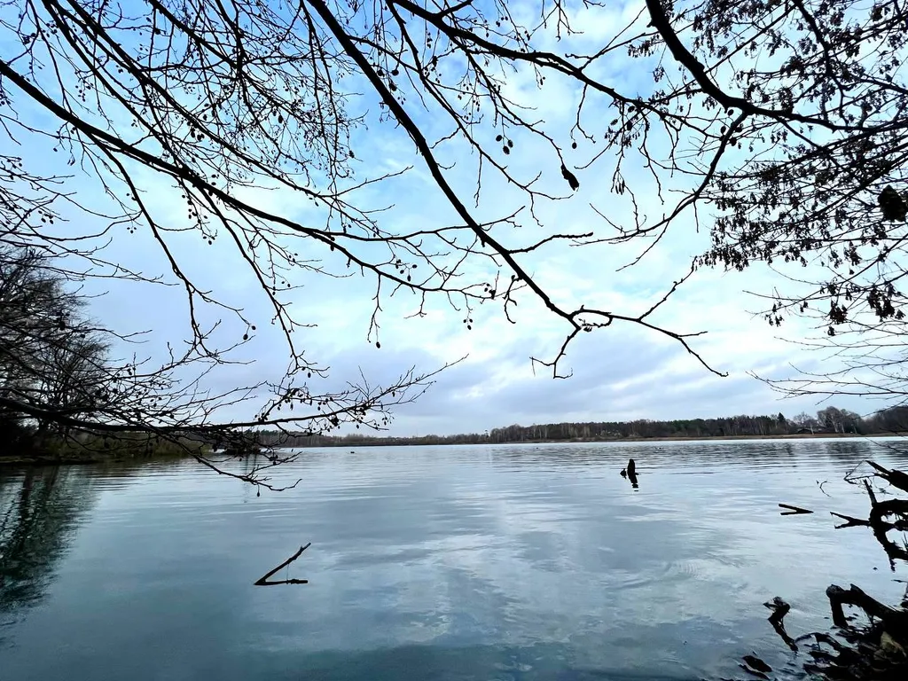 Дом для отдыха среди лесов и озер