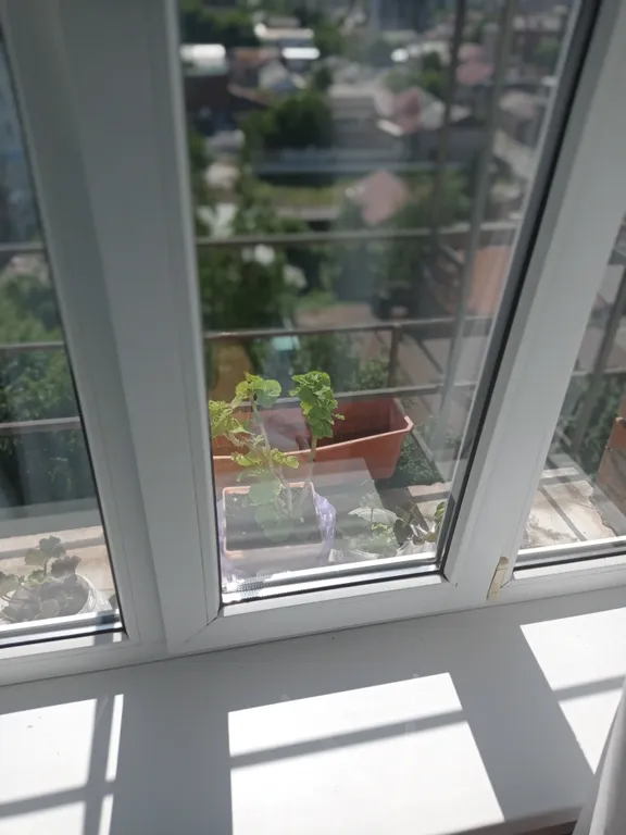 Квартира Квартира в самом сердце Владикавказа. — Владикавказ