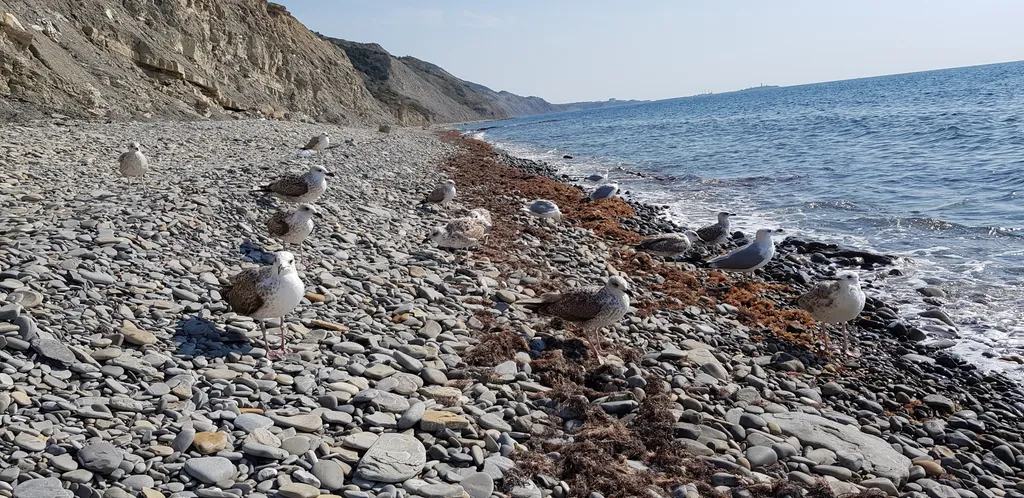 Квартира Rose Quartz of Varvarovka Beach — Варваровка