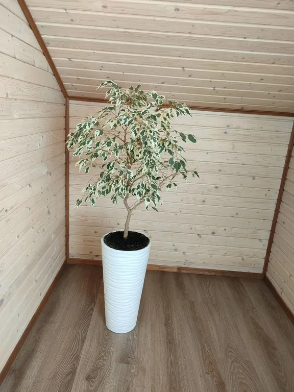 Загородный дом Уютный хутор