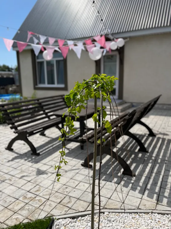 Гостевой дом в центре города