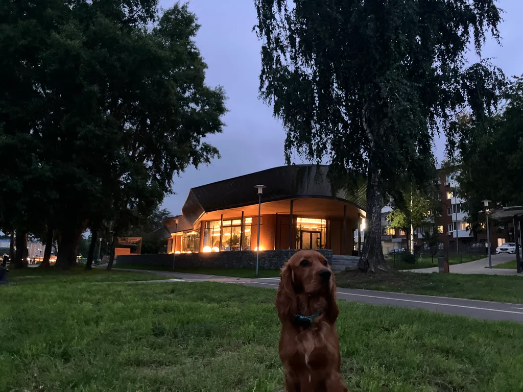 Уютная квартира рядом с сосновым бором Сила леса, парком, термами