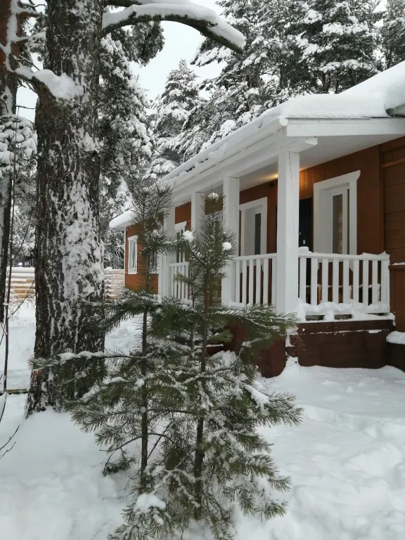 Дом на берегу реки