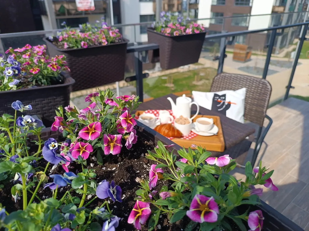 Просторная светлая квартира — аренда посуточно в Светлогорск