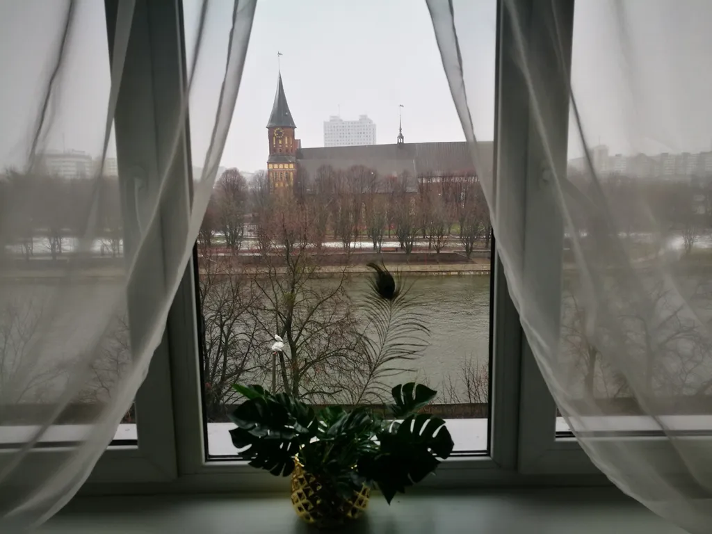 Квартира Квартира Большие тропики с камином, с видом на остров Канта и Рыбную деревню — Калининград