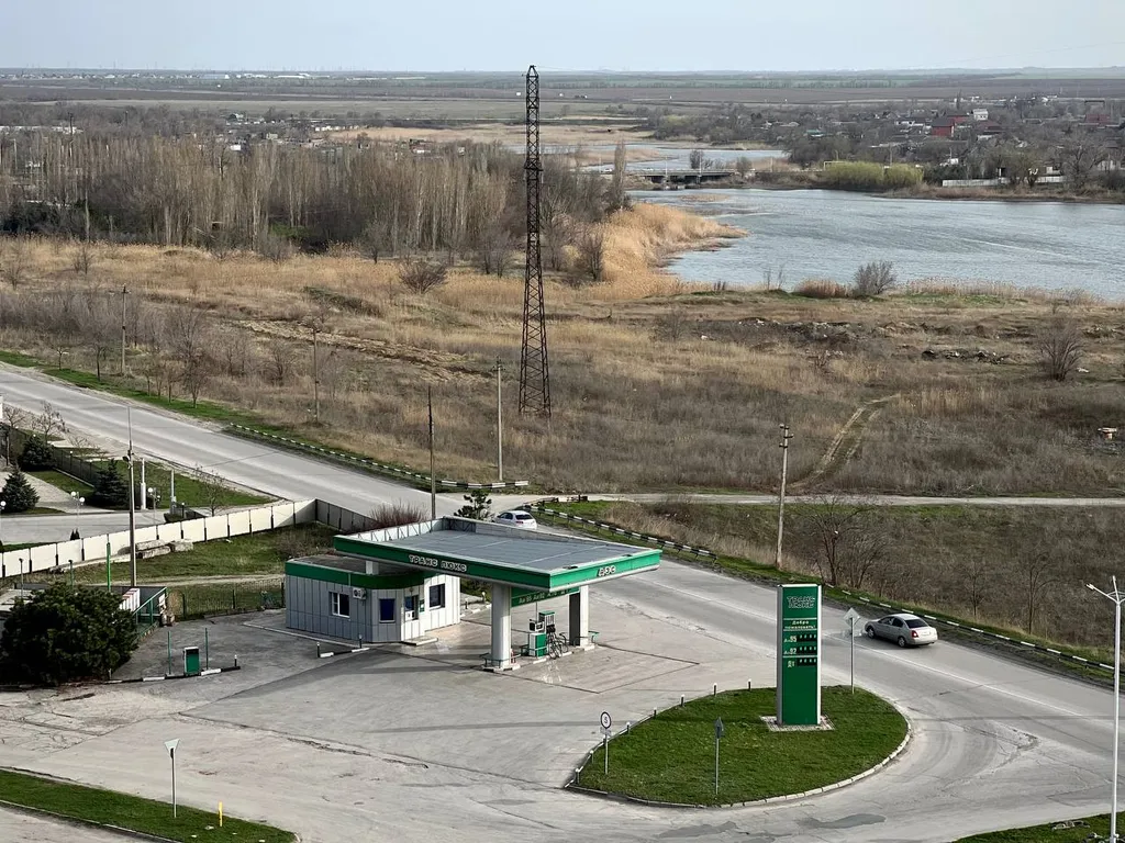 Grеen wood возле залива