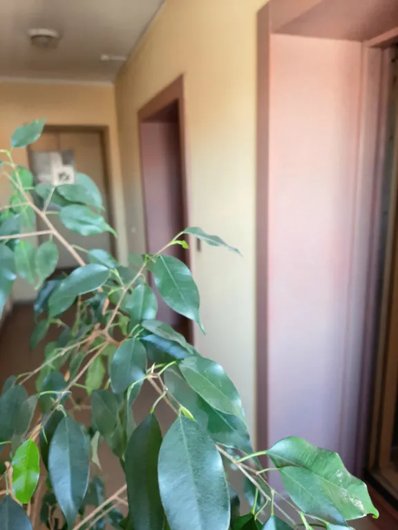 Квартира в новом доме - центр Ленинградского района