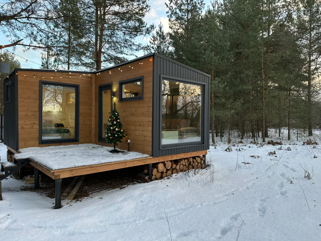 Дом Скандинавия Лес