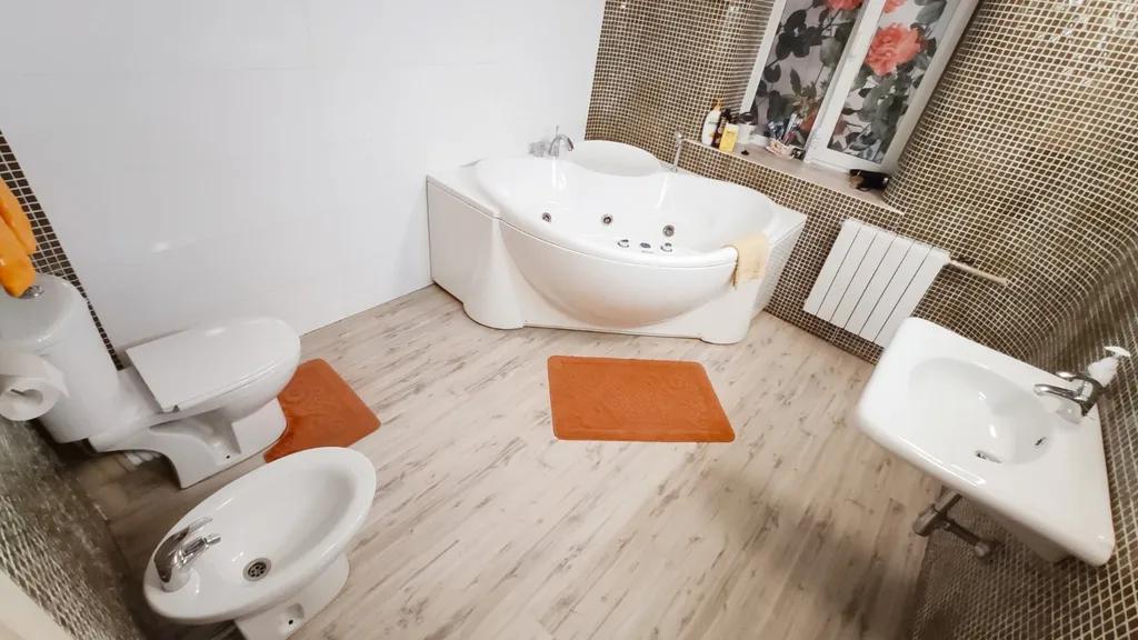 Квартира с джакузи и биде