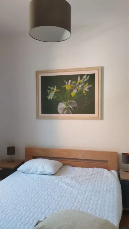 Уютная квартира возле оливковой рощи