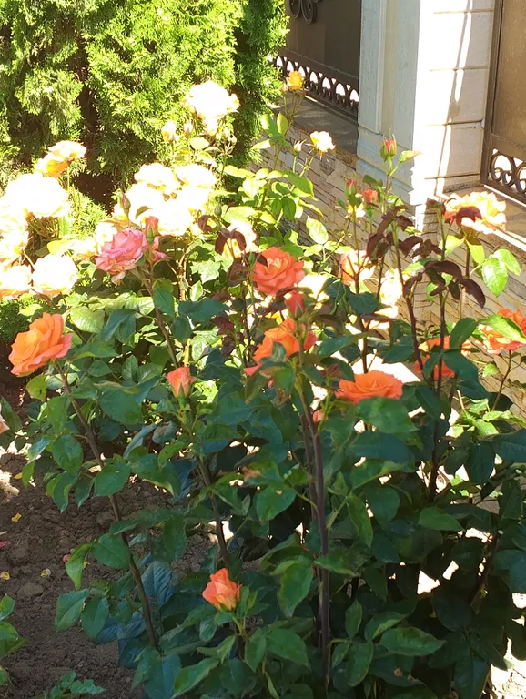 Квартира Квартира Солнечная студия на Азовском море — Кучугуры