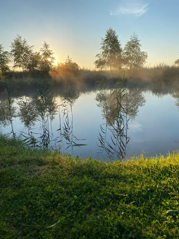Тихое и комфортное место на берегу реки Лесная