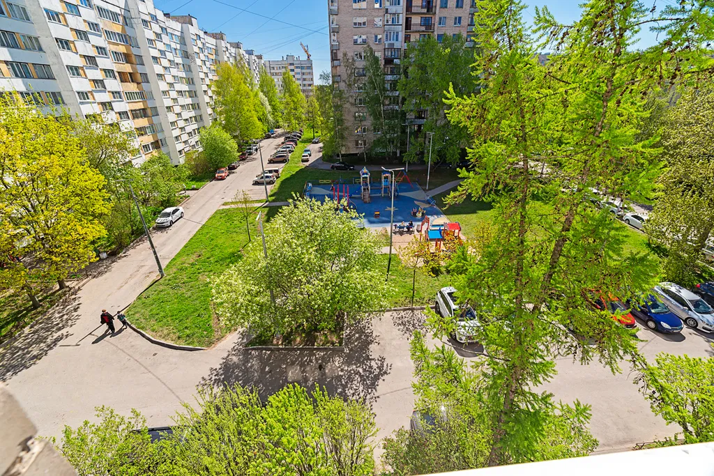 Космос в Красносельском районе