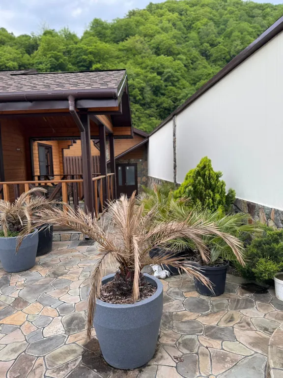 Дом с баней у гор