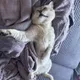 Яна