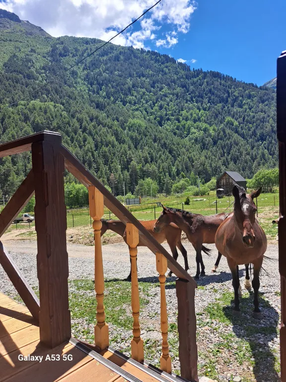 Домик с видом на горы