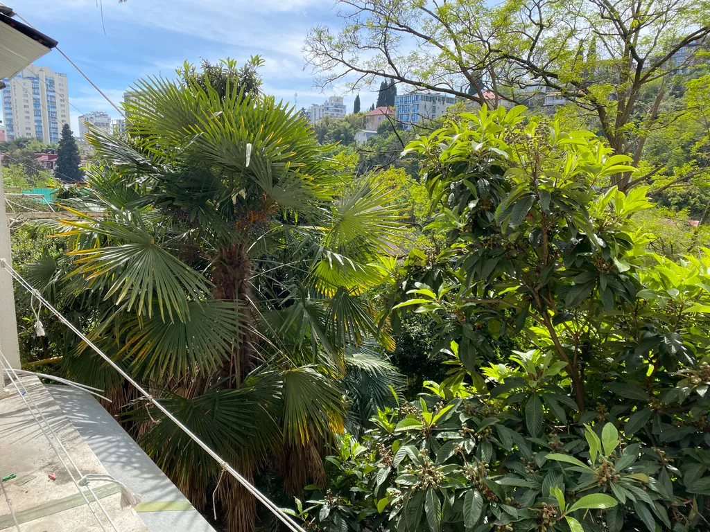 Квартира Квартира внизу Светланы — Сочи