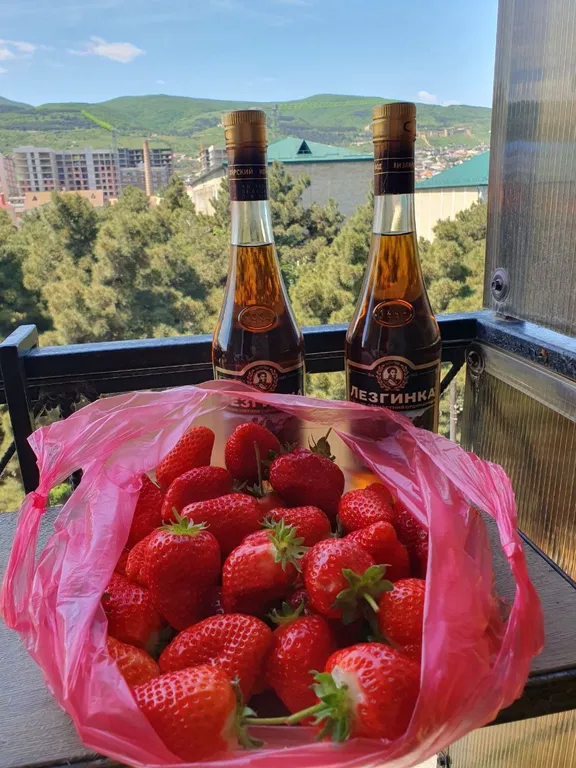 Уютная квартира с красивым видом на крепость и горы в центре города