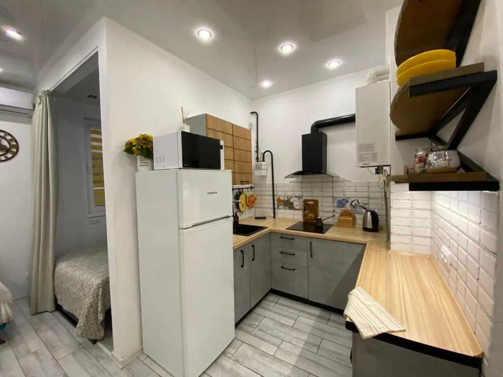 Квартира 1-комнатная Квартира — Сириус