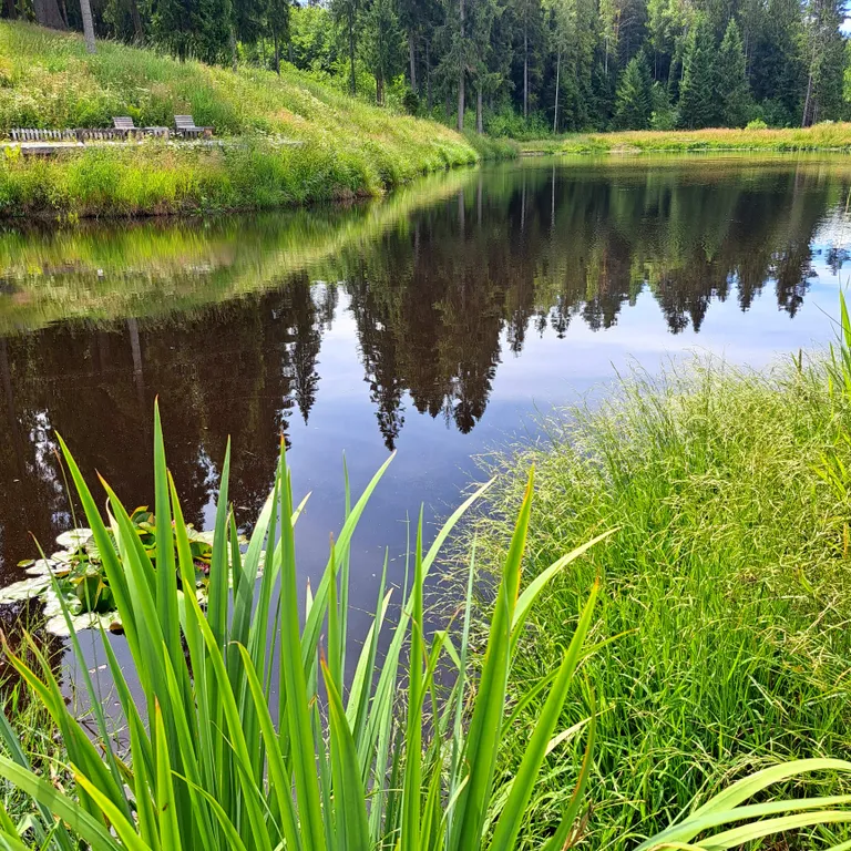 Экодомик у реки