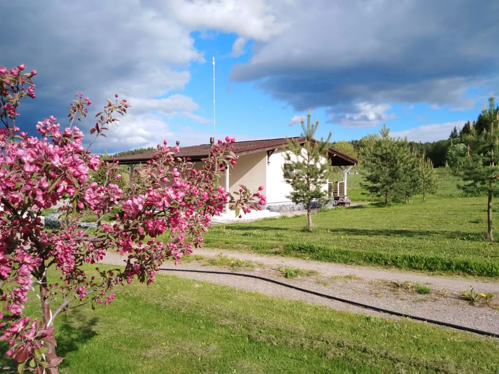 Коттедж Дом шале — аренда посуточно в Сортавала