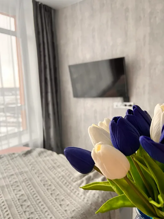 Шикарная студия с видом на реку и Московскую площадь