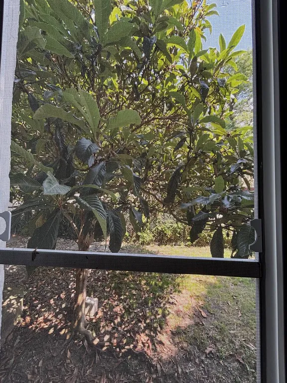 маленькая комната