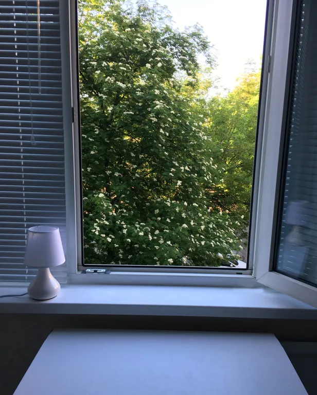 Квартира Уютная квартира Sofi для уютного отдыха — Санкт-Петербург