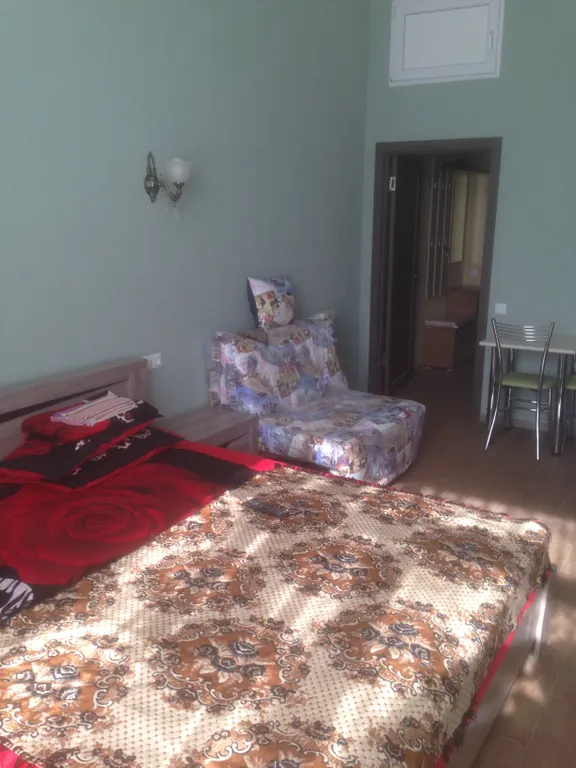 Студия в историческом здании Царский гараж