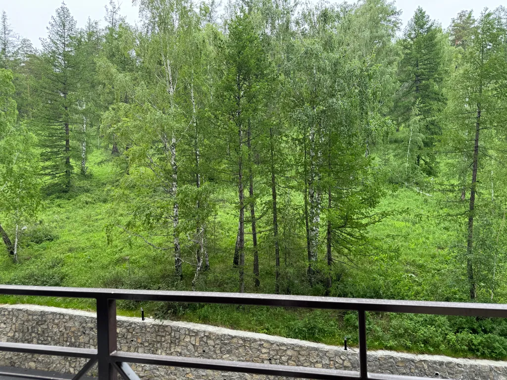 Большая студия с видом на лес