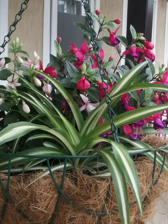 Номер с террасой и с видом на море