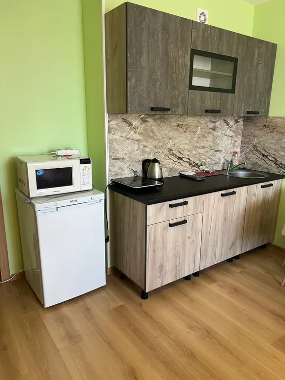 Квартира Квартира Уютная студия рядом с НИИ Петрова Гранова Напалкова — Песочный