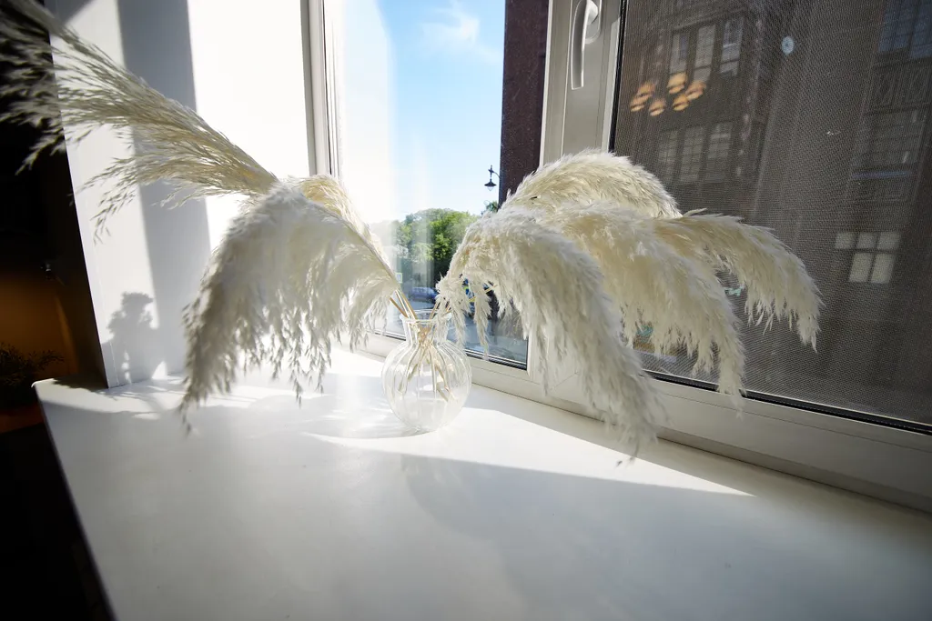 Wow-студия у библиотеки Аалто