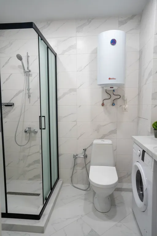 Рыжик в Приморском районе