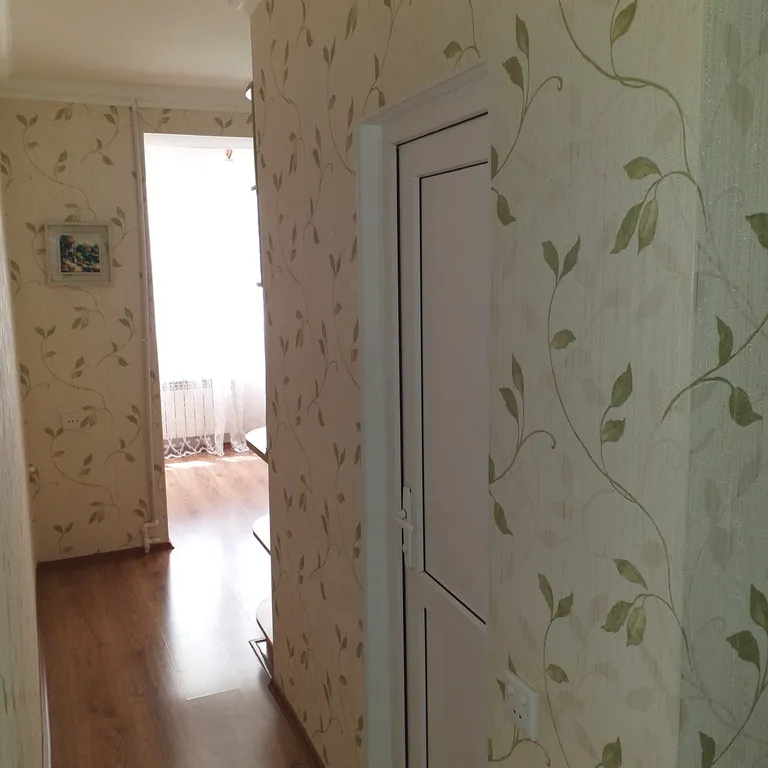 1-комнатная квартира в центре города