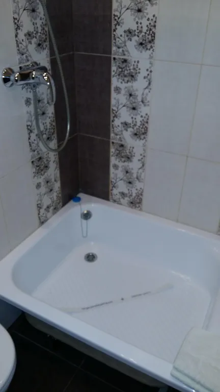 Квартира 1-комнатная Квартира — Луга