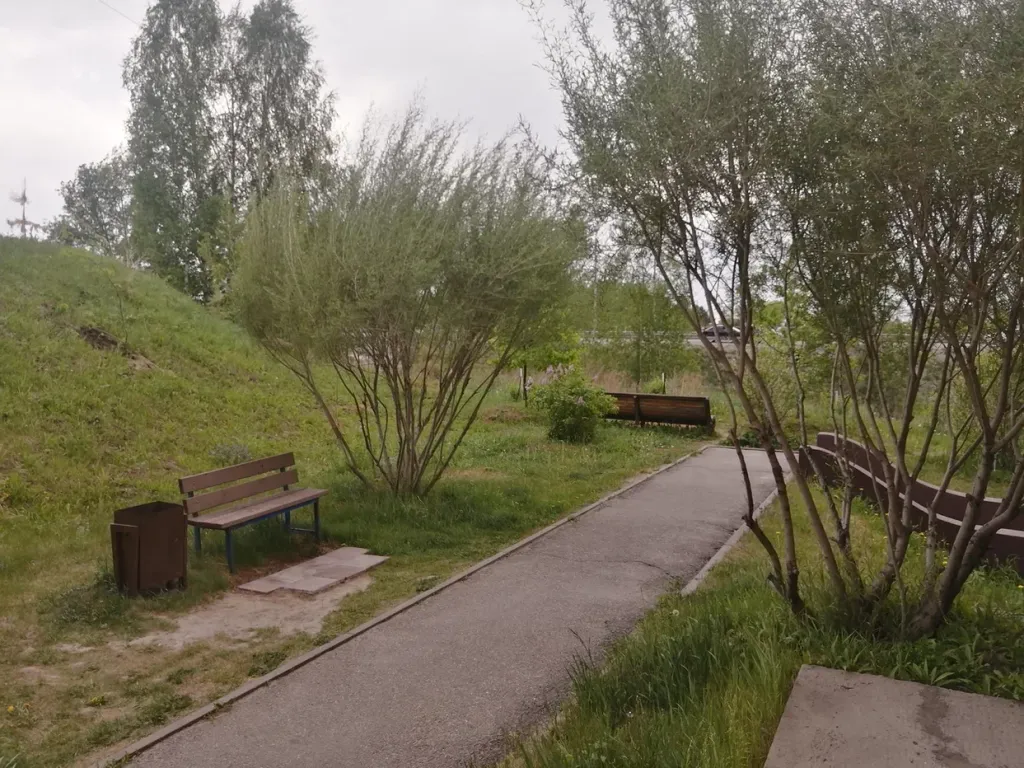 Квартира Квартира Уютная студия у моря в Академгородке — Новосибирск