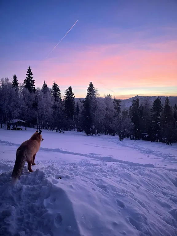Дом в национальном парке