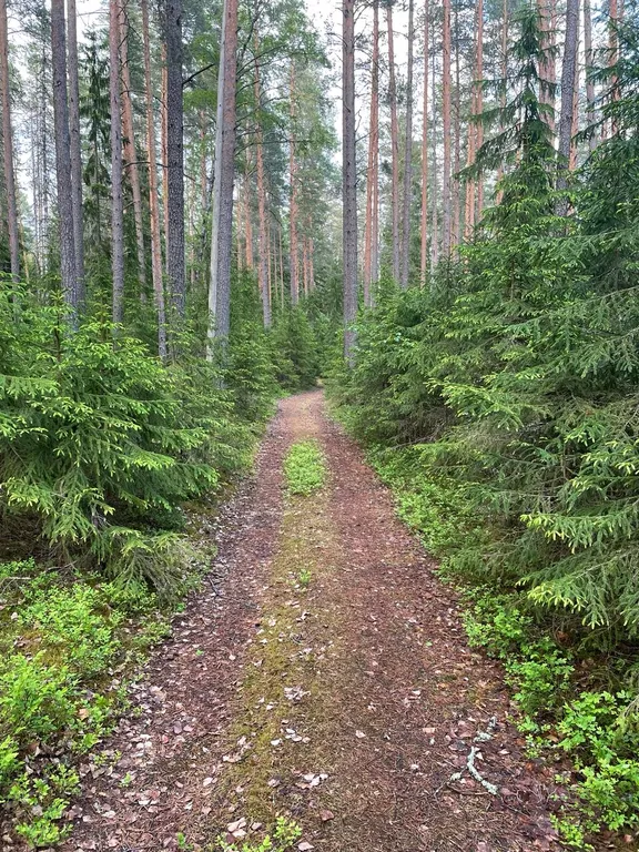Супер дом на Вуоксе с камином и баней