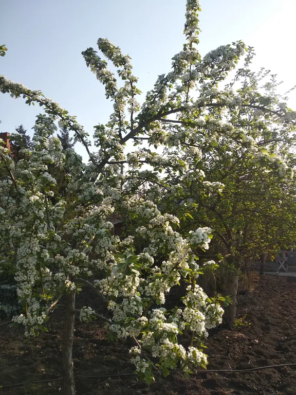 Дом для семейного отдыха с баней на дровах