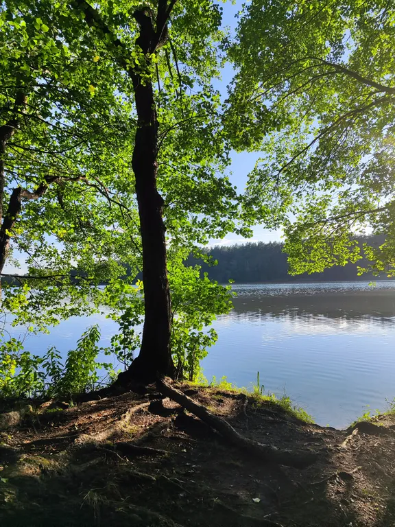 Большой уютный дом у Раифского леса для отдыха всей семьёй