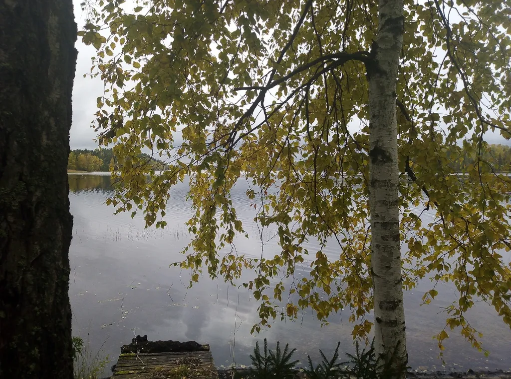 Квартира на берегу озера