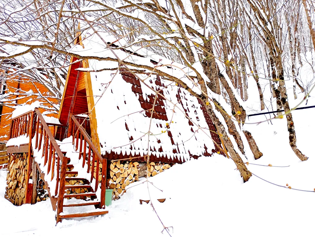 Шале с видом на лес и горы