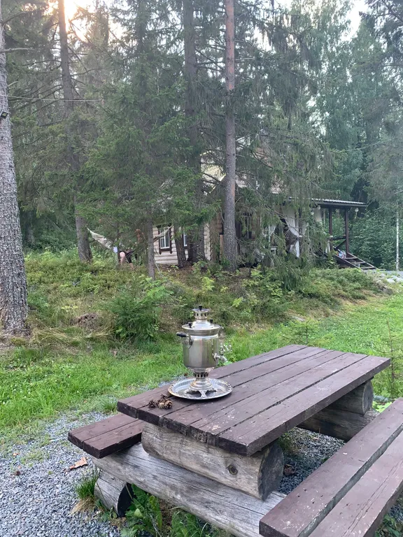 Хутор Медовое на Ладожском озере