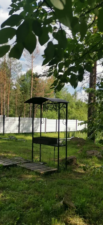 Дом с котом