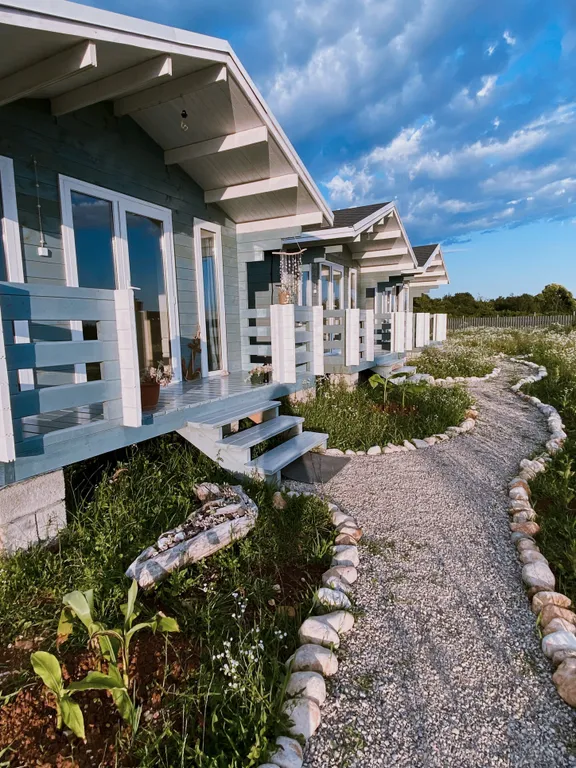 Роза Ветров