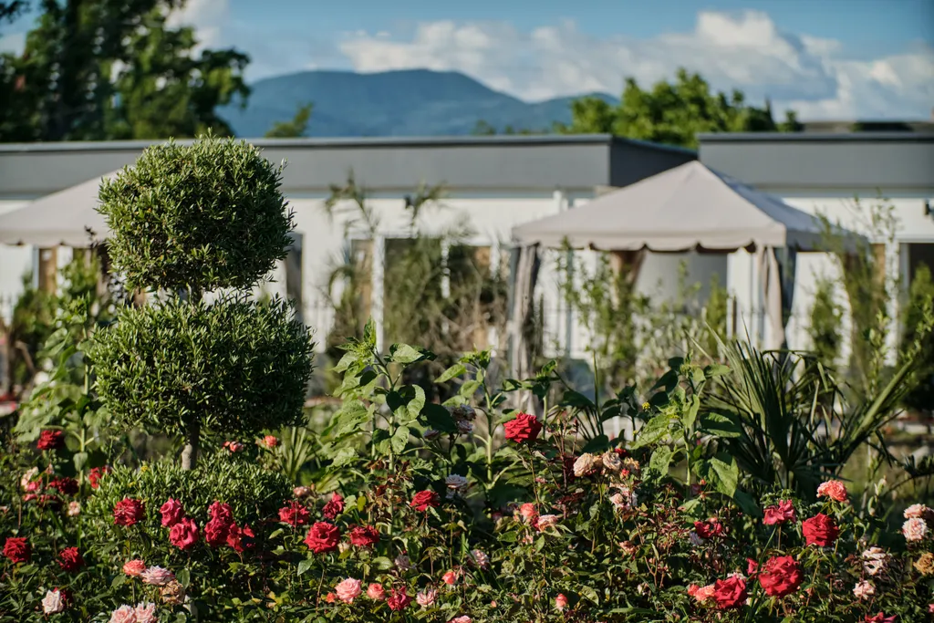 Квартира Комната — Головинка