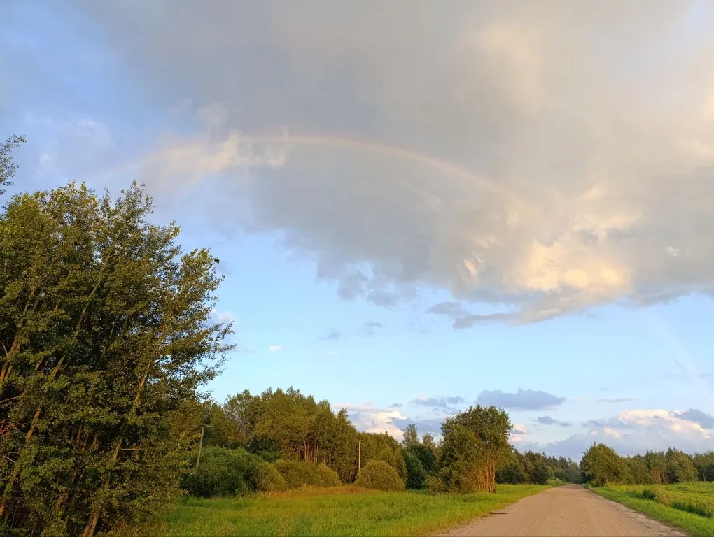 Дом с видом на лес